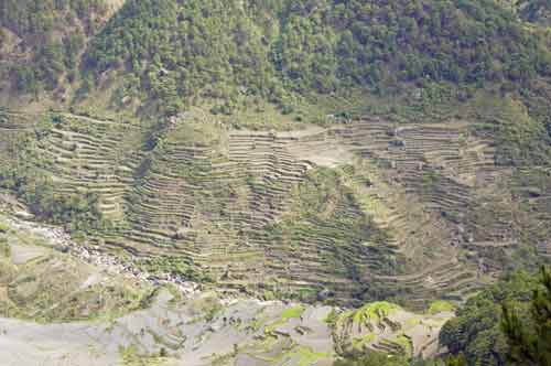 sagada terraces-AsiaPhotoStock