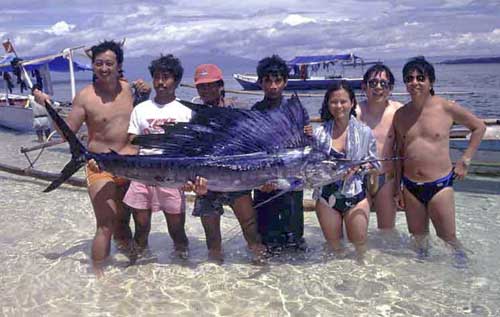 sail fish-AsiaPhotoStock