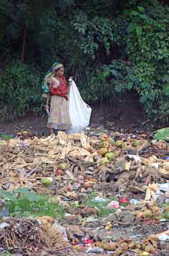 scavenging-AsiaPhotoStock