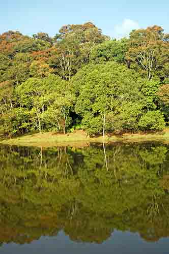 scenery periyar-AsiaPhotoStock