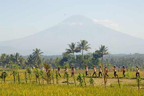 scouts magelang-AsiaPhotoStock