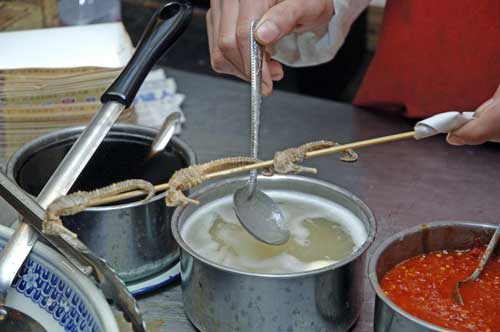 sea horse for dinner-AsiaPhotoStock