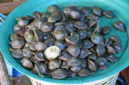 seeds phuket market-AsiaPhotoStock