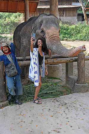 selfie elephant-AsiaPhotoStock