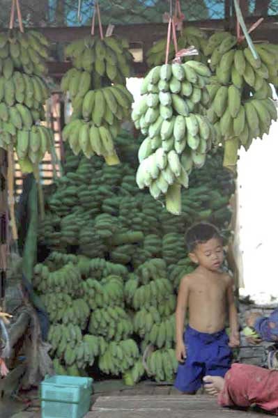 boy at banana stall-AsiaPhotoStock