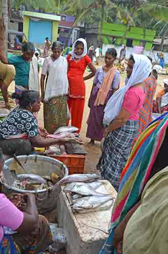 selling fish chowara-AsiaPhotoStock