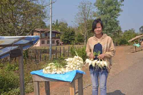 selling vegetables-AsiaPhotoStock