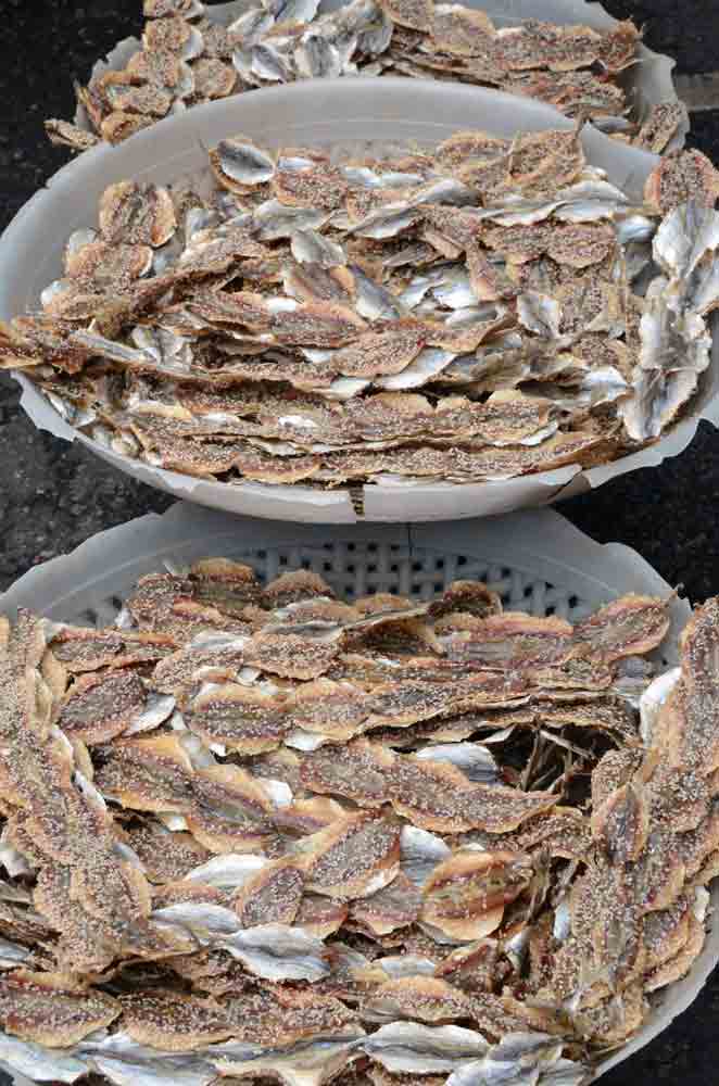 AsiaPhotoStock, sesame seed fish