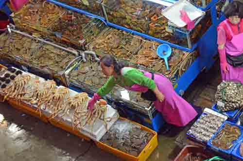 shellfish Noryangjin-AsiaPhotoStock