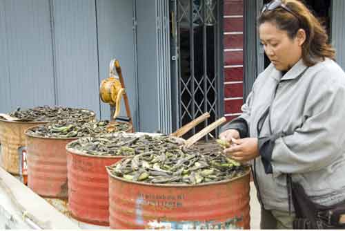 shelling peanuts-AsiaPhotoStock