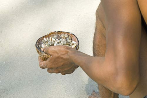 small shell fish-AsiaPhotoStock