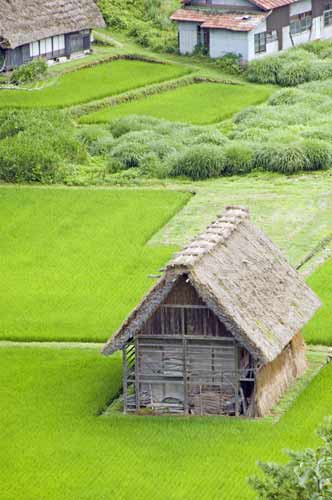 shirakawa go store-AsiaPhotoStock