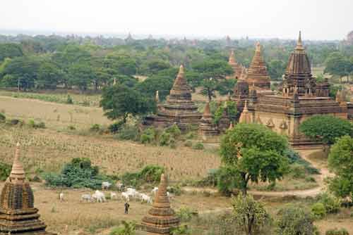 shwe san daw view-AsiaPhotoStock