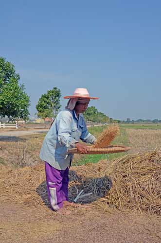 sieve organic farm-AsiaPhotoStock