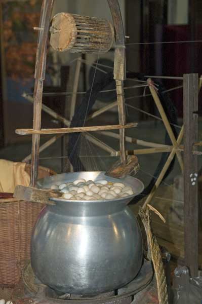 silk worm cocoons boil-AsiaPhotoStock