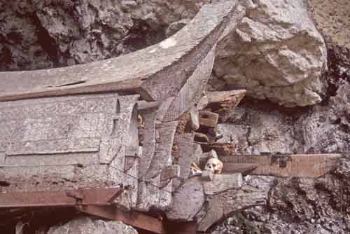 skull and coffin-AsiaPhotoStock