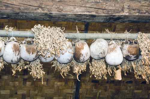 monsopiad skull house-AsiaPhotoStock