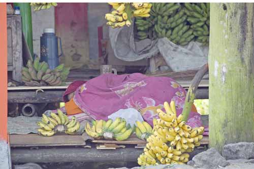 napping at market-AsiaPhotoStock