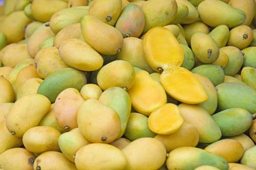 small mango-AsiaPhotoStock