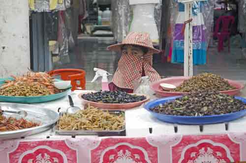 snack of insects-AsiaPhotoStock