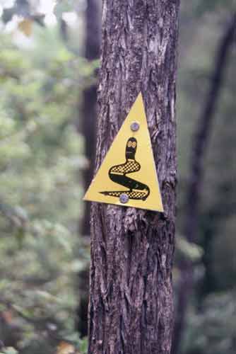 beware snakes-AsiaPhotoStock