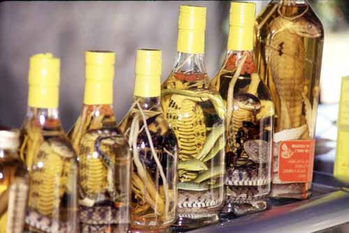 snake wine-AsiaPhotoStock