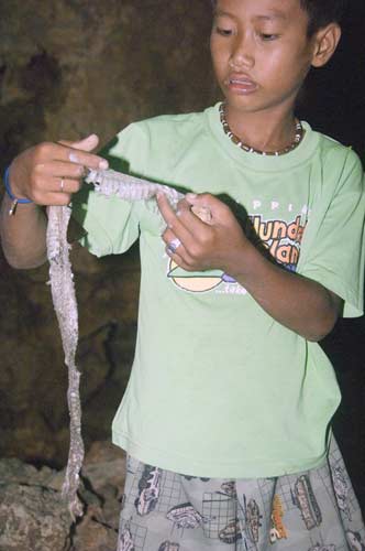 snakes skin in cave-AsiaPhotoStock