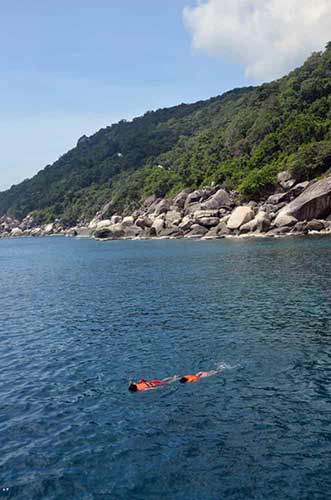 snorkel koh tao-AsiaPhotoStock