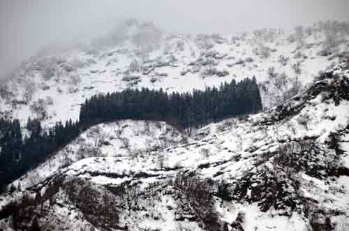 snow scene-AsiaPhotoStock