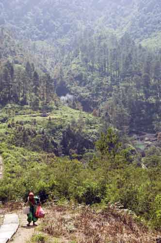 gedung songo vendor-AsiaPhotoStock