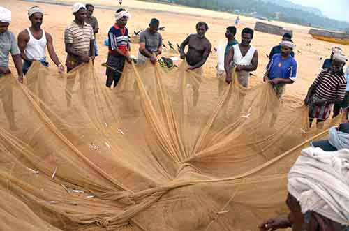 sorting catch-AsiaPhotoStock