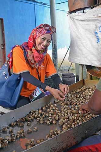 sorting cockles-AsiaPhotoStock