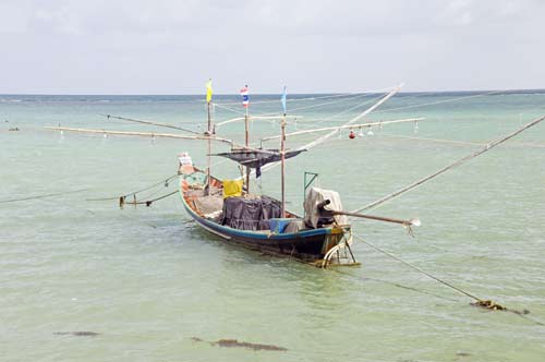 squid boat-AsiaPhotoStock