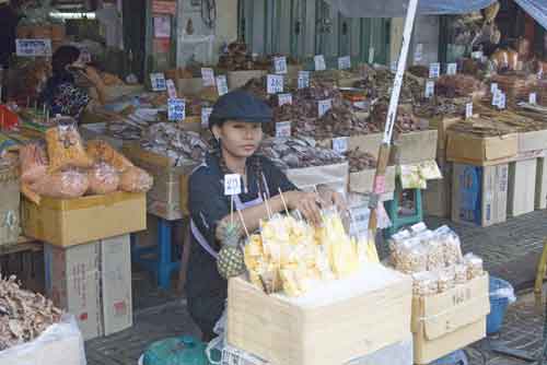 stall selling pineapple-AsiaPhotoStock