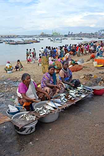 stalls vizhinjam-AsiaPhotoStock