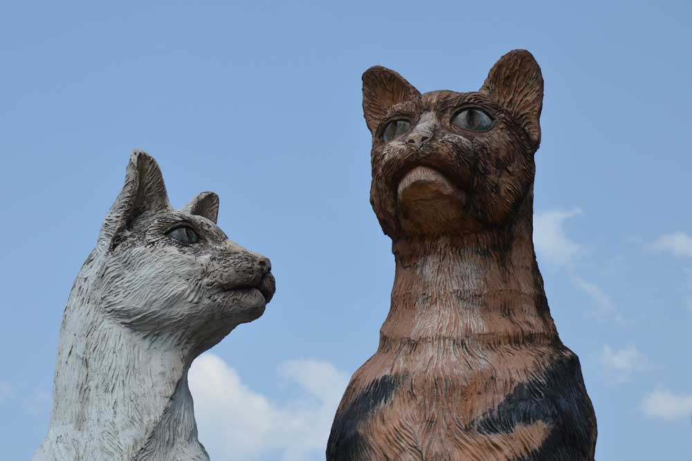 AsiaPhotoStock, statue of cats kuching