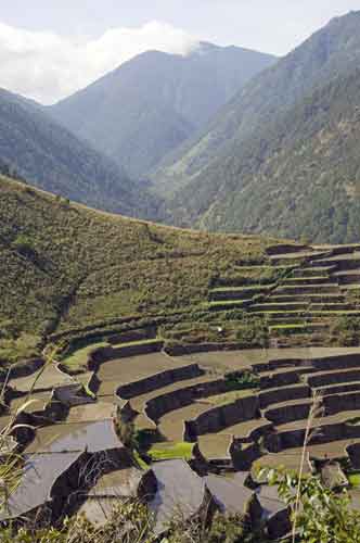 bay yo rice terraces-AsiaPhotoStock