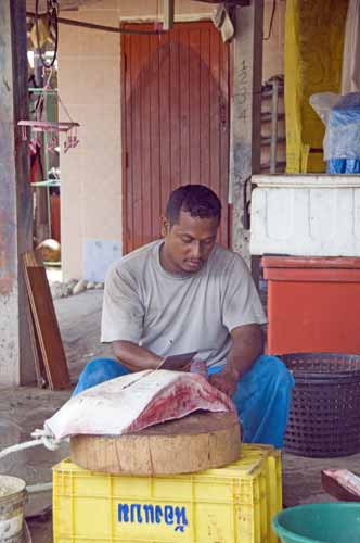 stingray disection-AsiaPhotoStock