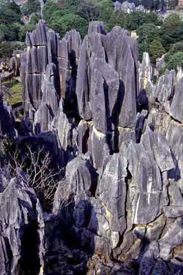 stone forest-AsiaPhotoStock