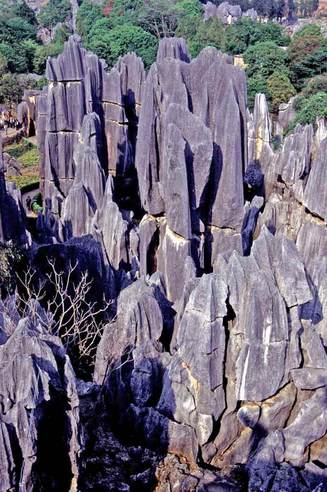 stone forest-AsiaPhotoStock