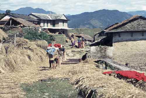 straw drying-AsiaPhotoStock