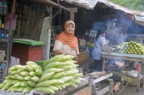 sweet corn for sale-AsiaPhotoStock