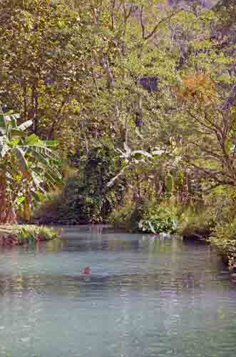 swim-AsiaPhotoStock