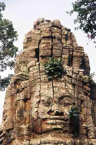 ta prohm face-AsiaPhotoStock