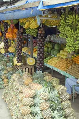tagatay fruit stall-AsiaPhotoStock