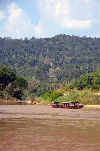 taman negara-AsiaPhotoStock