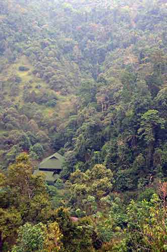 tanah aina-AsiaPhotoStock