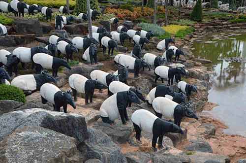 tapirs at nong nooch-AsiaPhotoStock