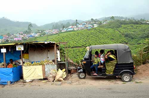 taxi tea-AsiaPhotoStock