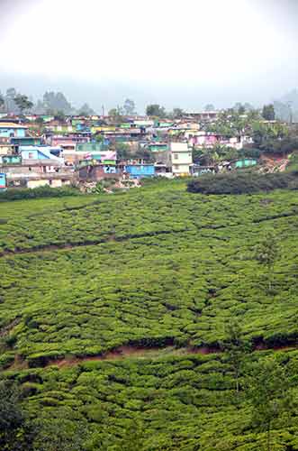 tea houses-AsiaPhotoStock